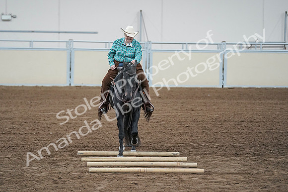 2020 - AB Morgan Horse - Fri, Sept 04 - 00638