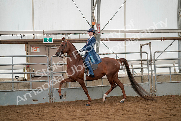 July 20, 2019 - 02195