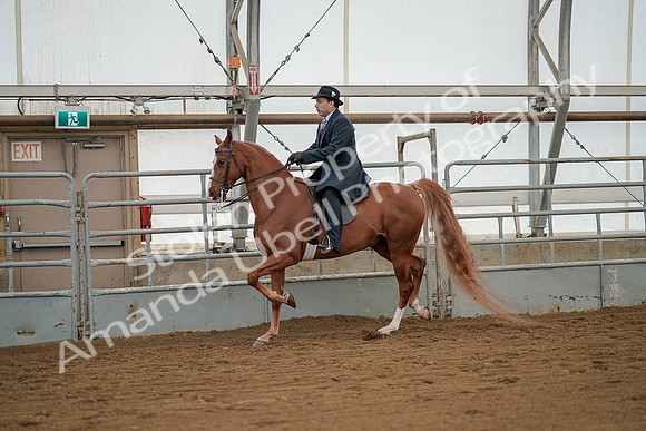 July 20, 2019 - 02084