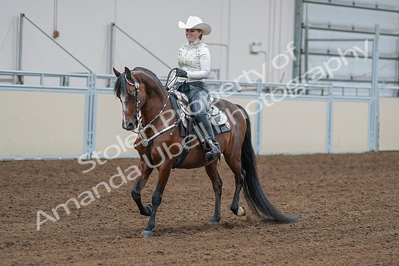 2020 - AB Morgan Horse - Sat, Sept 05 - 09016