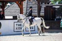 192 - Eng-Country-Hunter Eq Walk-Trot
