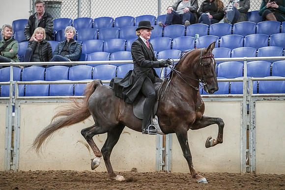 Spring Fling - Saturday - April 20, 2019  -  03626