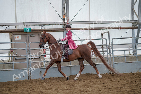 July 20, 2019 - 14504