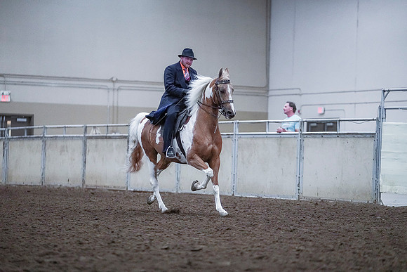 Spring Fling - Saturday - April 20, 2019  -  00804