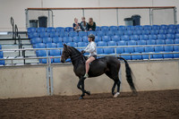 2019 Morgan Horse Show - Aug 30, 2019 - 31028