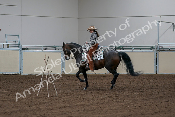 2020 - AB Morgan Horse - Fri, Sept 04 - 00341