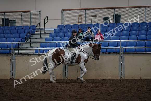 2019 Morgan Horse Show - Aug 30, 2019 - 31408