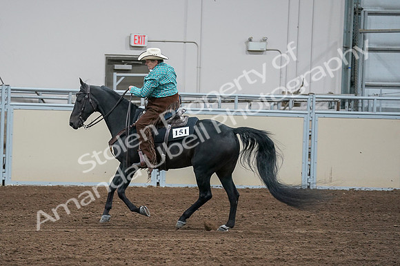 2020 - AB Morgan Horse - Fri, Sept 04 - 00502