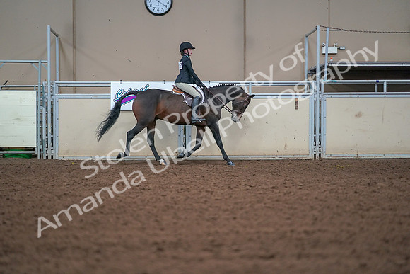 2019 Morgan Horse Show - Aug 30, 2019 - 20693