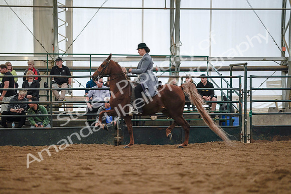 July 20, 2019 - 17020