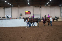 2019 Morgan Horse Show - Aug 31, 2019 - 18877