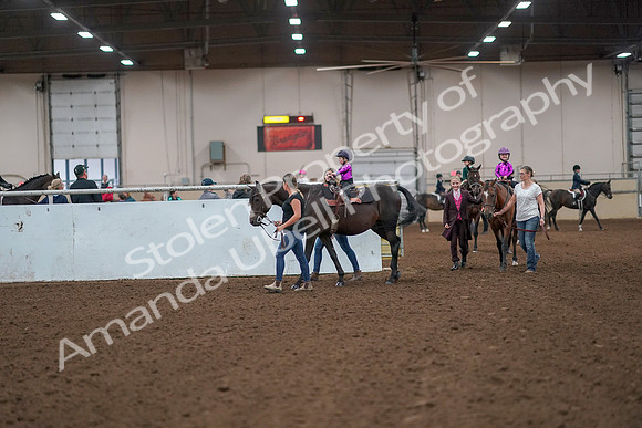 2019 Morgan Horse Show - Aug 31, 2019 - 18877