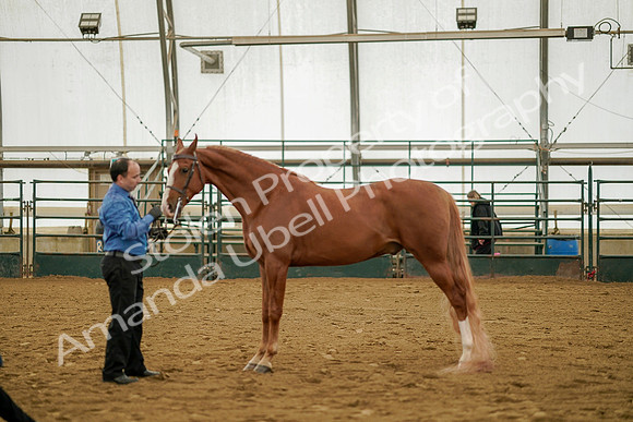July 19, 2019 - 910