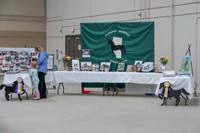 2019 Morgan Horse Show - Sept 01, 2019 - 05897