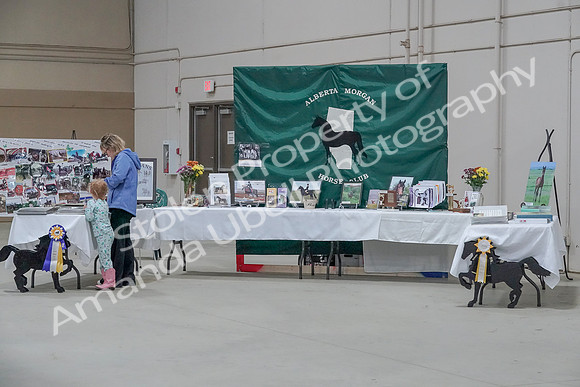 2019 Morgan Horse Show - Sept 01, 2019 - 05897