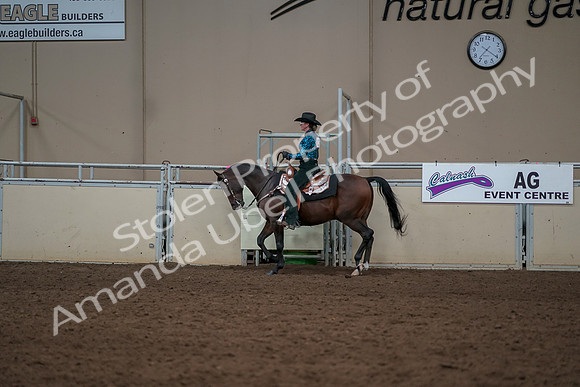 2019 Morgan Horse Show - Aug 30, 2019 - 26038