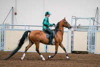 2020 - AB Morgan Horse - Fri, Sept 04 - 08692