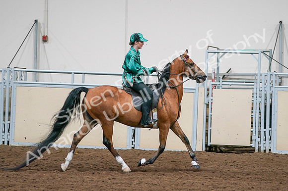 2020 - AB Morgan Horse - Fri, Sept 04 - 08692
