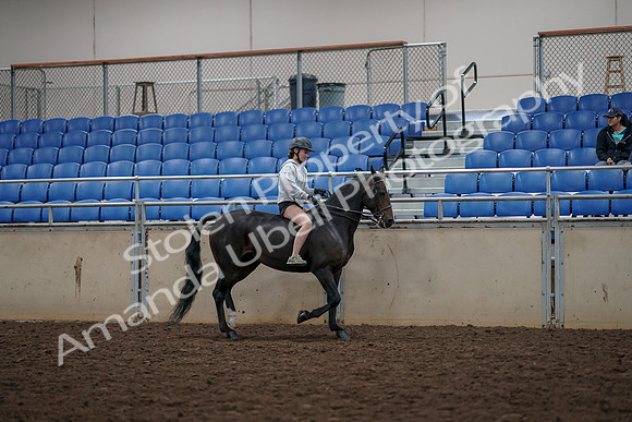 2019 Morgan Horse Show - Aug 30, 2019 - 31374