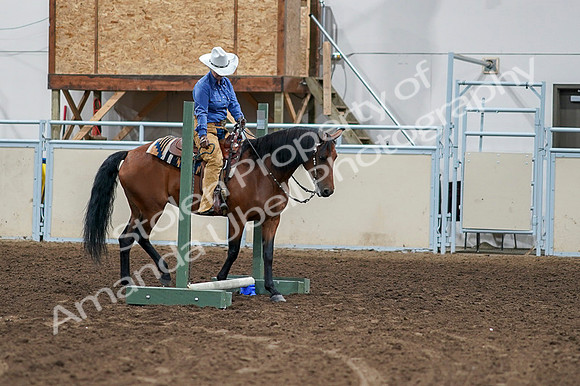 2020 - AB Morgan Horse - Fri, Sept 04 - 00257