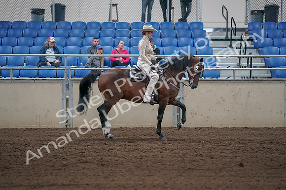 2019 Morgan Horse Show - Sept 01, 2019 - 07183