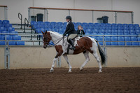 2019 Morgan Horse Show - Aug 30, 2019 - 14864