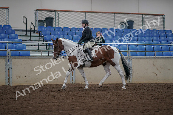 2019 Morgan Horse Show - Aug 30, 2019 - 14864