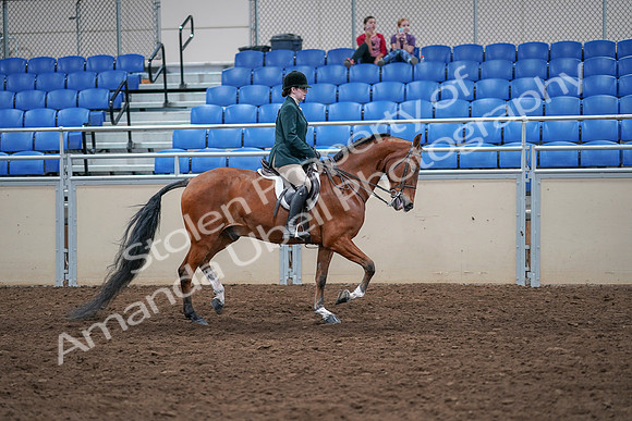 2020 - AB Morgan Horse - Sat, Sept 05 - 05114