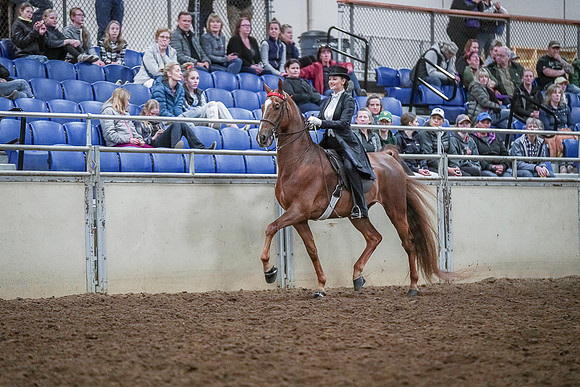 Spring Fling - Saturday - April 20, 2019  -  04363