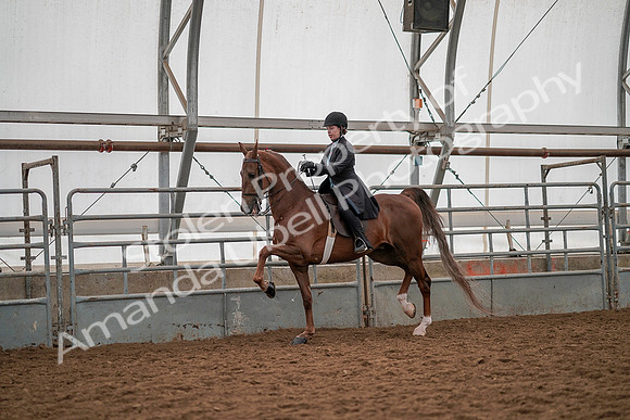 July 19, 2019 - 13151