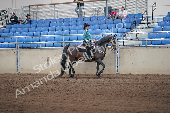 2019 Morgan Horse Show - Sept 01, 2019 - 07101