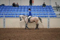 2020 - AB Morgan Horse - Fri, Sept 04 - 10350