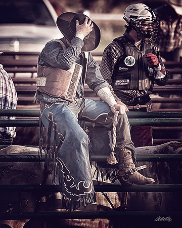 rodeo - 051
