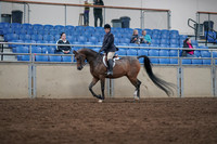 2019 Morgan Horse Show - Sept 01, 2019 - 08508