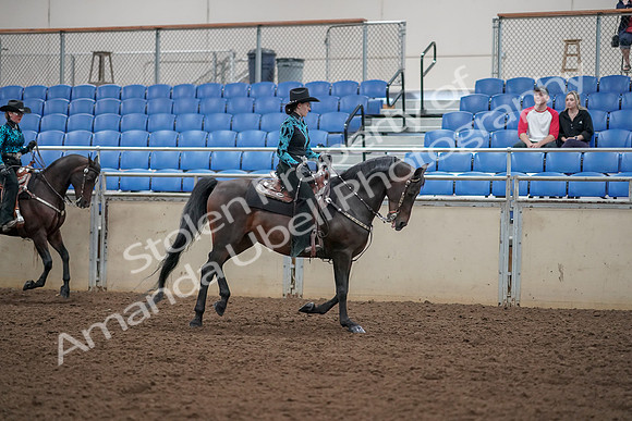 2019 Morgan Horse Show - Aug 30, 2019 - 26165