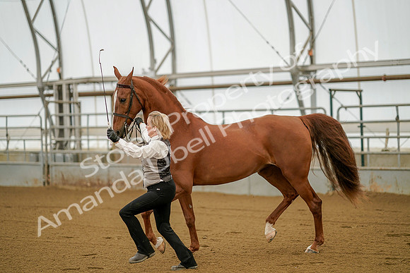 July 19, 2019 - 257