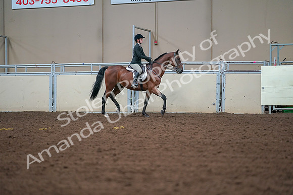 2019 Morgan Horse Show - Aug 30, 2019 - 20847
