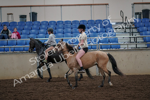 2019 Morgan Horse Show - Aug 30, 2019 - 31237