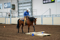 2020 - AB Morgan Horse - Fri, Sept 04 - 00225