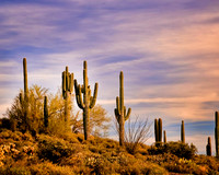 Landscapes - US - 002