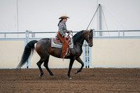 2020 - AB Morgan Horse - Fri, Sept 04 - 00412