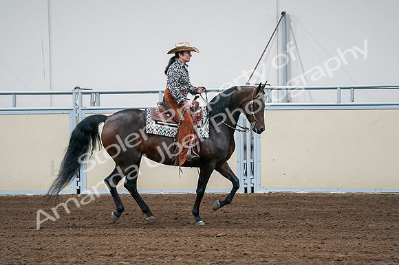 2020 - AB Morgan Horse - Fri, Sept 04 - 00412