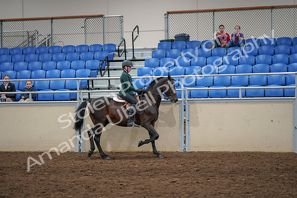 2020 - AB Morgan Horse - Sat, Sept 05 - 05053