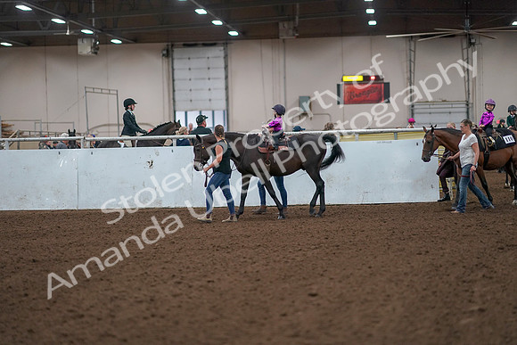 2019 Morgan Horse Show - Aug 31, 2019 - 18884