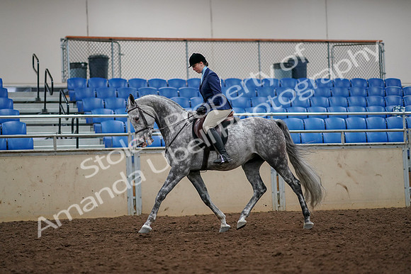 2019 Morgan Horse Show - Aug 30, 2019 - 22268
