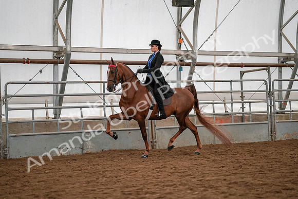 July 19, 2019 - 10456