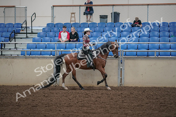 2019 Morgan Horse Show - Aug 30, 2019 - 26198