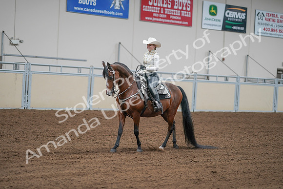 2020 - AB Morgan Horse - Sat, Sept 05 - 09028