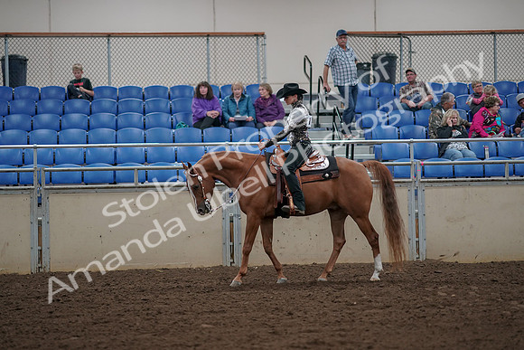 2019 Morgan Horse Show - Aug 30, 2019 - 26023