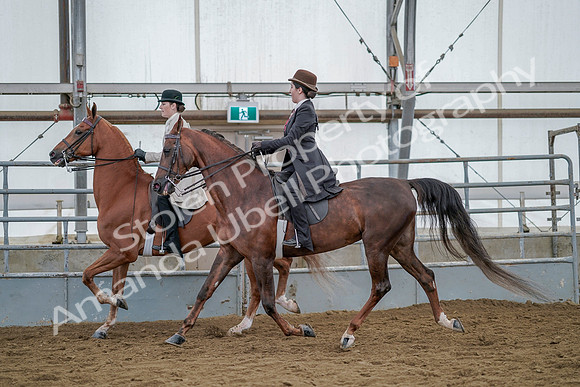 July 20, 2019 - 14592